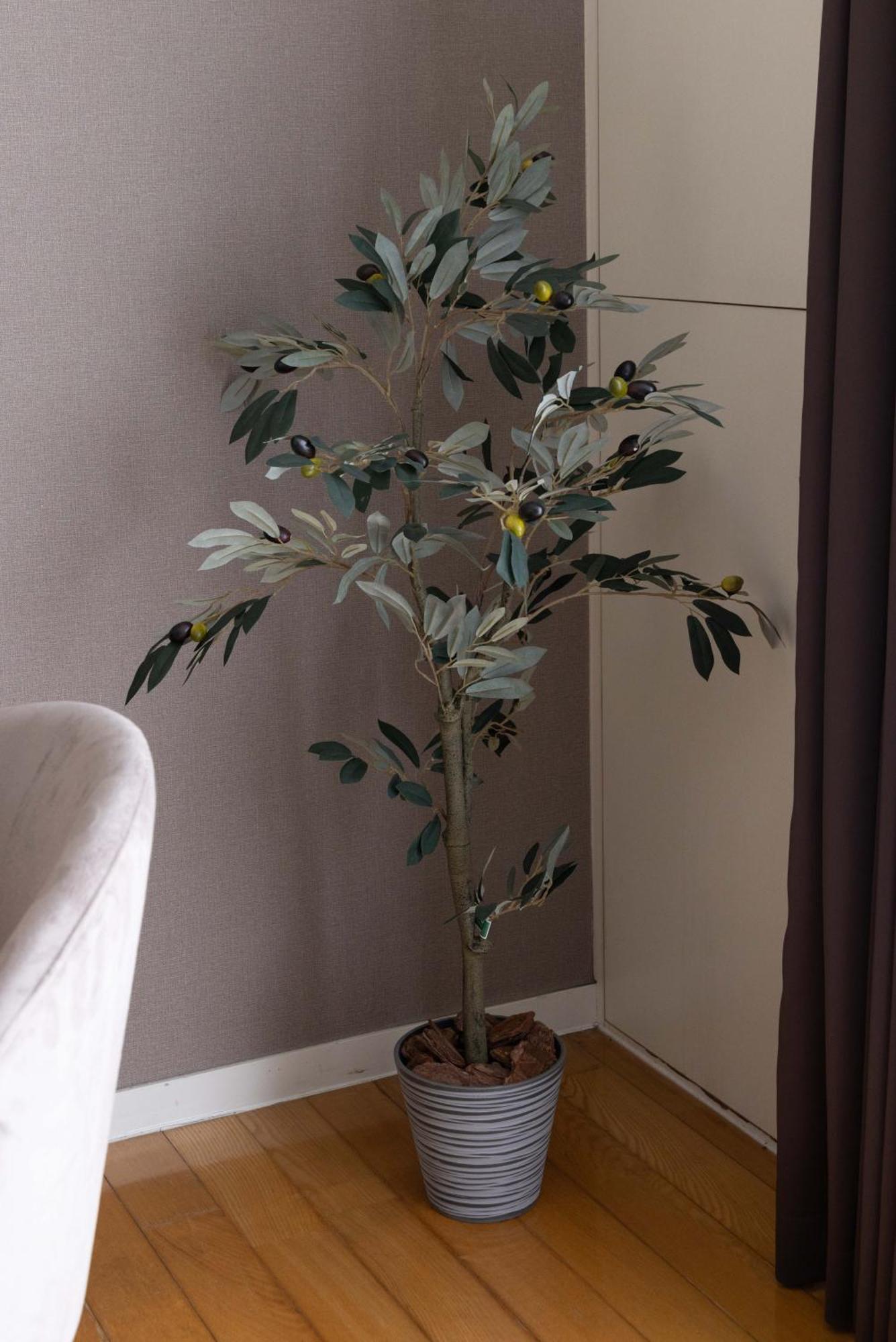 T'S House Apartment Tokyo Ngoại thất bức ảnh